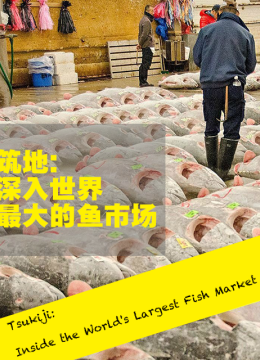 筑地深入世界上最大的鱼市场
