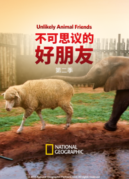 不可思议的好朋友第2季