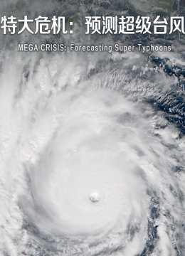 特大危机预测超级台湾风