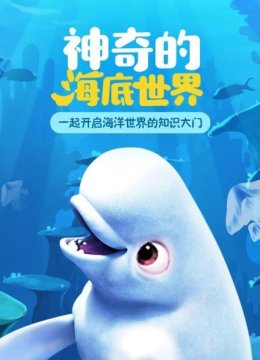 奇妙的海底世界到底是什么样子？