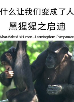 什么让我们变成了人黑猩猩之启迪