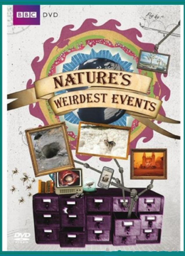 自然界最奇异的事件第1季