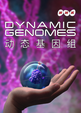 动态基因组