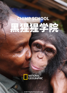 黑猩猩学院