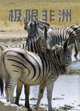 极限非洲