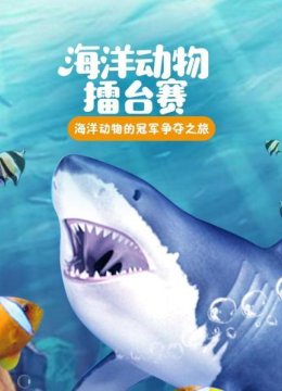 海洋擂台湾赛谁会成为最后的王者