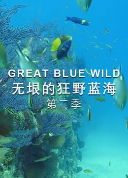 无垠的狂野蓝海第2季