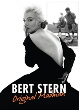 伯特斯特恩创意狂人