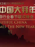 旅游卫视2013春晚