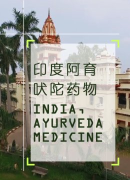 印度阿育吠陀药物