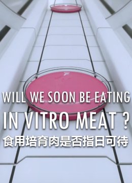 食用培育肉是否指日语可待