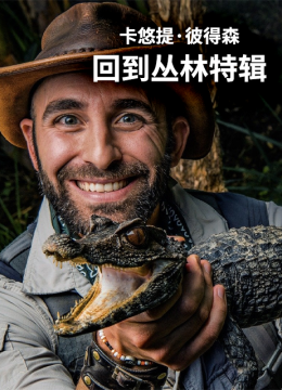 卡悠提彼得森回到丛林特辑