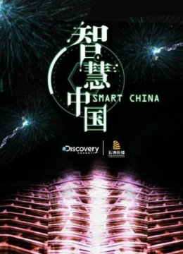 智慧大陆第1季