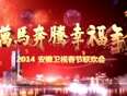 安徽卫视2014春晚