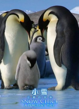 雪宝一个小企鹅的故事