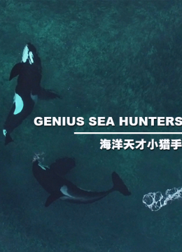 海洋天才小猎手
