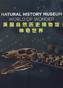英语国自然历史博物馆神奇世界
