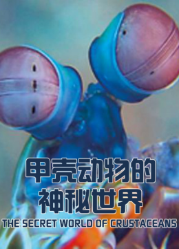 甲壳动物的神秘世界