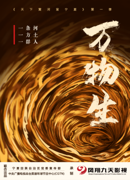 天下黄河富宁夏