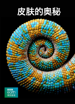 皮肤的奥秘