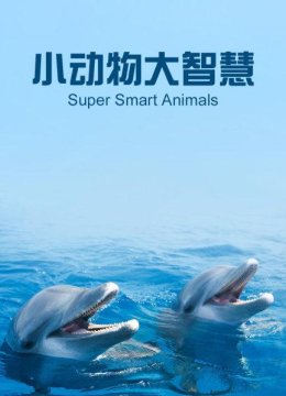 黑猩猩利用水把试管中的花生捞上来