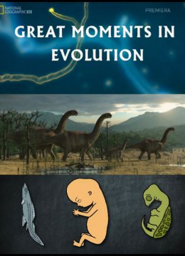 进化的伟大时刻