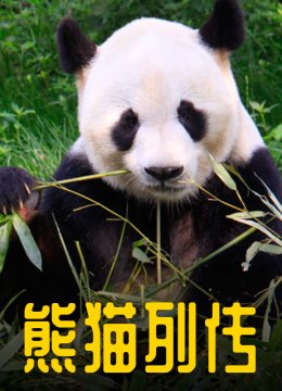 熊猫列传