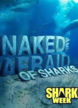 原始生活21天鲨鱼特集