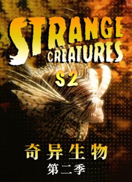 奇异生物第2季