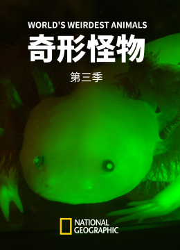 奇形怪物第3季