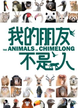 我的朋友不是人