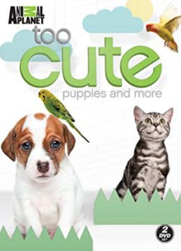 萌宠成长记第2季