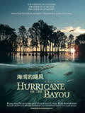 海湾的飓风