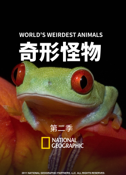 奇形怪物第2季