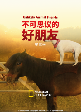 不可思议的好朋友第3季