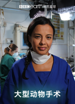 大型动物手术