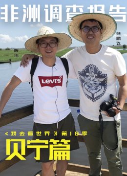 非洲调查报告贝宁篇