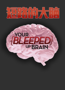 短路的大脑第1季