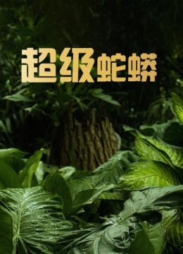 蛇蟒让你在厌恶的同时又对它们着迷的神秘生物