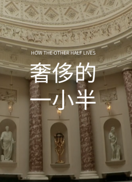 奢侈的一小半第1季