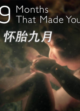地平线系列怀胎九月