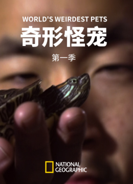 奇形怪宠第1季