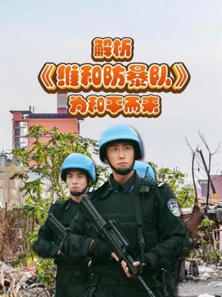解析《维和防暴队》为和平而来1