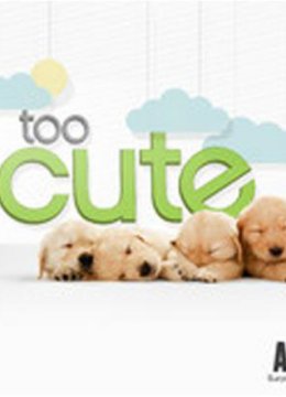 萌宠成长记第1季