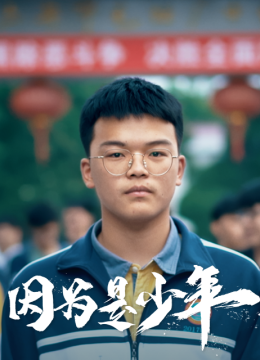 因为是少年