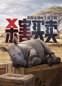 凤毛麟角偷猎猖獗犀牛濒临灭绝