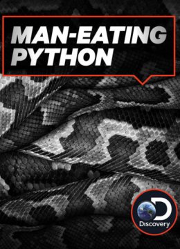 吃人蟒蛇