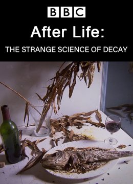 生命循环奇异的腐烂科学