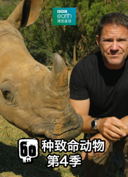 60种致命动物第4季
