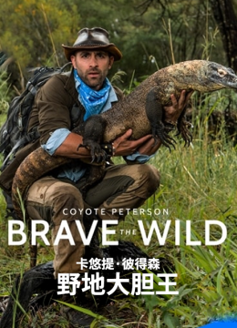 卡悠提彼得森野地大胆王